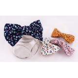 Wholesale - TC63 Lovely Women's Bowknot Hair Clip/ Barrette