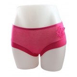 Wholesale - Women's Modal Fibre Seamless Low Waist Brief/Panties