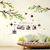 Wholesale - LEMON TREE Removable Wall Stickers Green Leaves and Birds 78*31 in