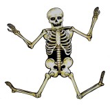 Wholesale - Creative Holloween Décor Skeleton 82CM/32"