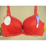 Wholesale - Women Sexy Flower Print Underwire Thick Bra (7918)